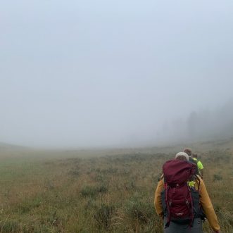 Yellowstone Update 5