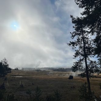 Yellowstone Update 8