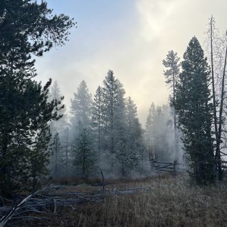 Yellowstone Update 10