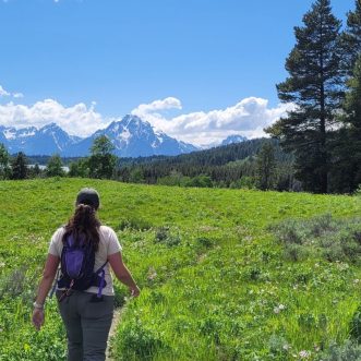 Yellowstone Update 3