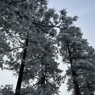 Grand Canyon Update 3