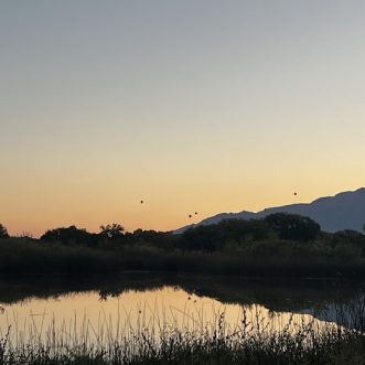 Zion Final Update (#9) -> Big Bend Update #1